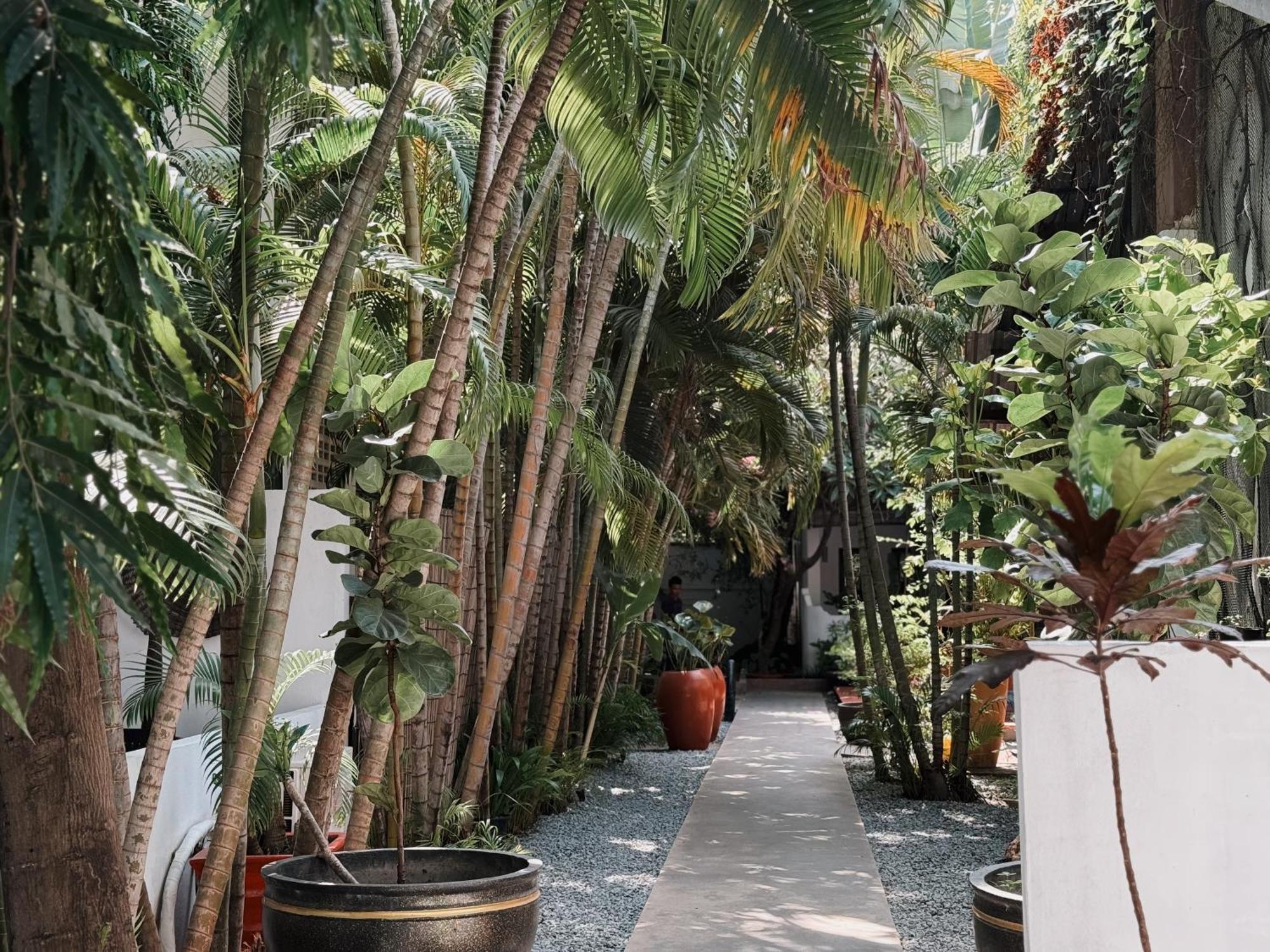 Maison 557 Hotel Siem Reap