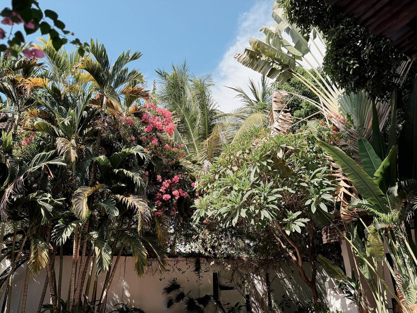 Maison 557 Hotel